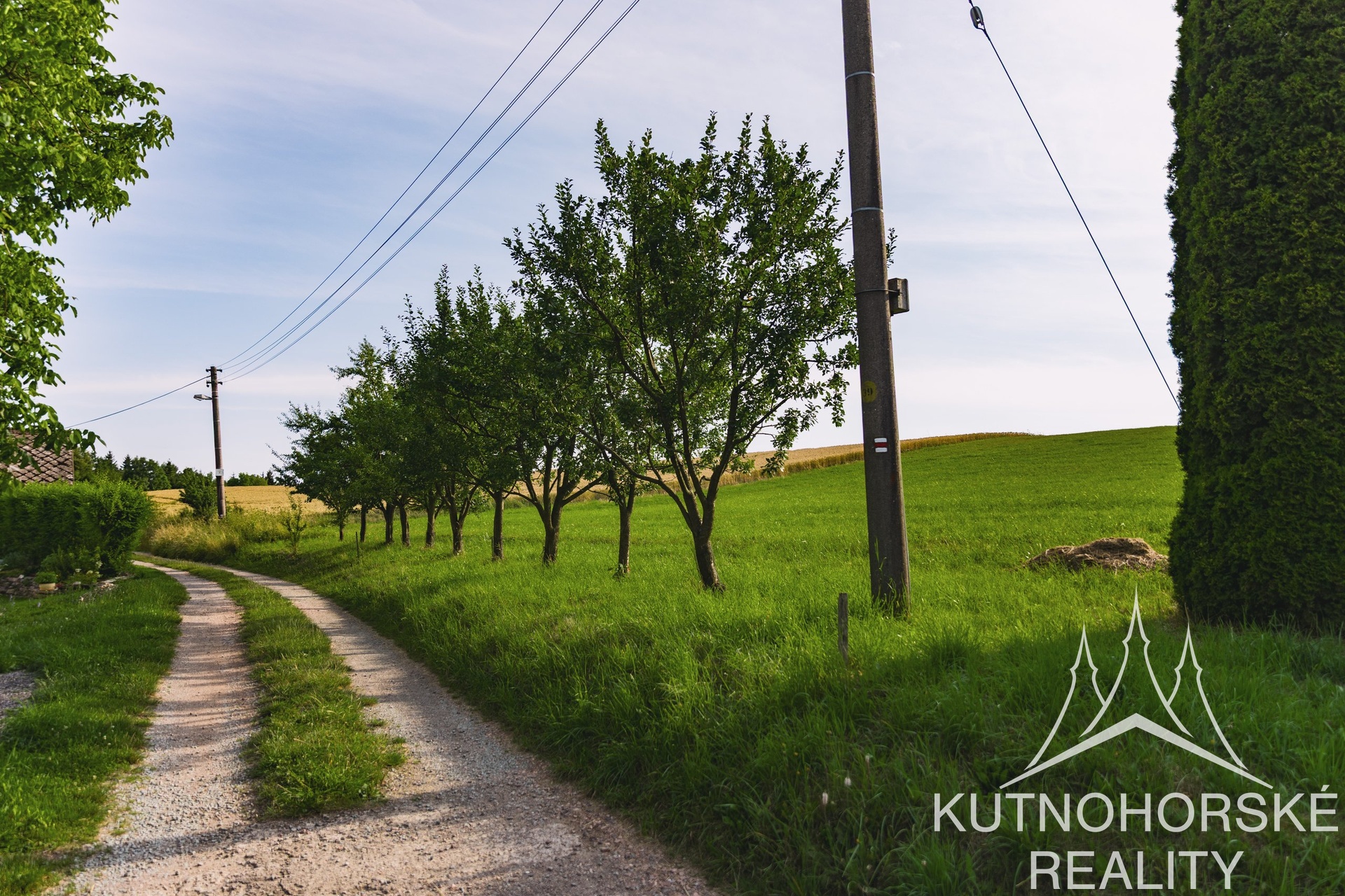 Rodinný dům 244 m² s velkou terasou a dvěma stavebními pozemky – pozemek 5844 m², Javornice – Jaroslav
