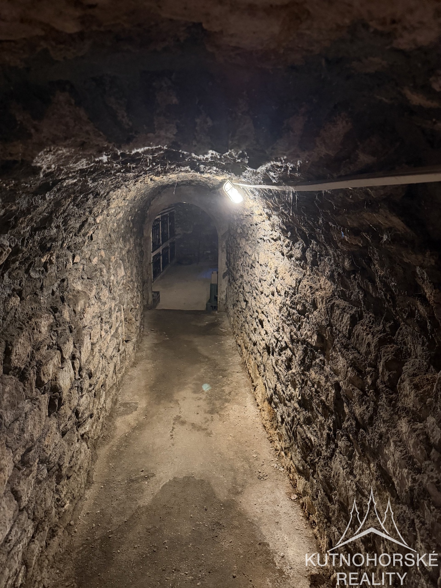 Pronájem obchodního prostoru 270 m², Václavské náměstí Kutná Hora