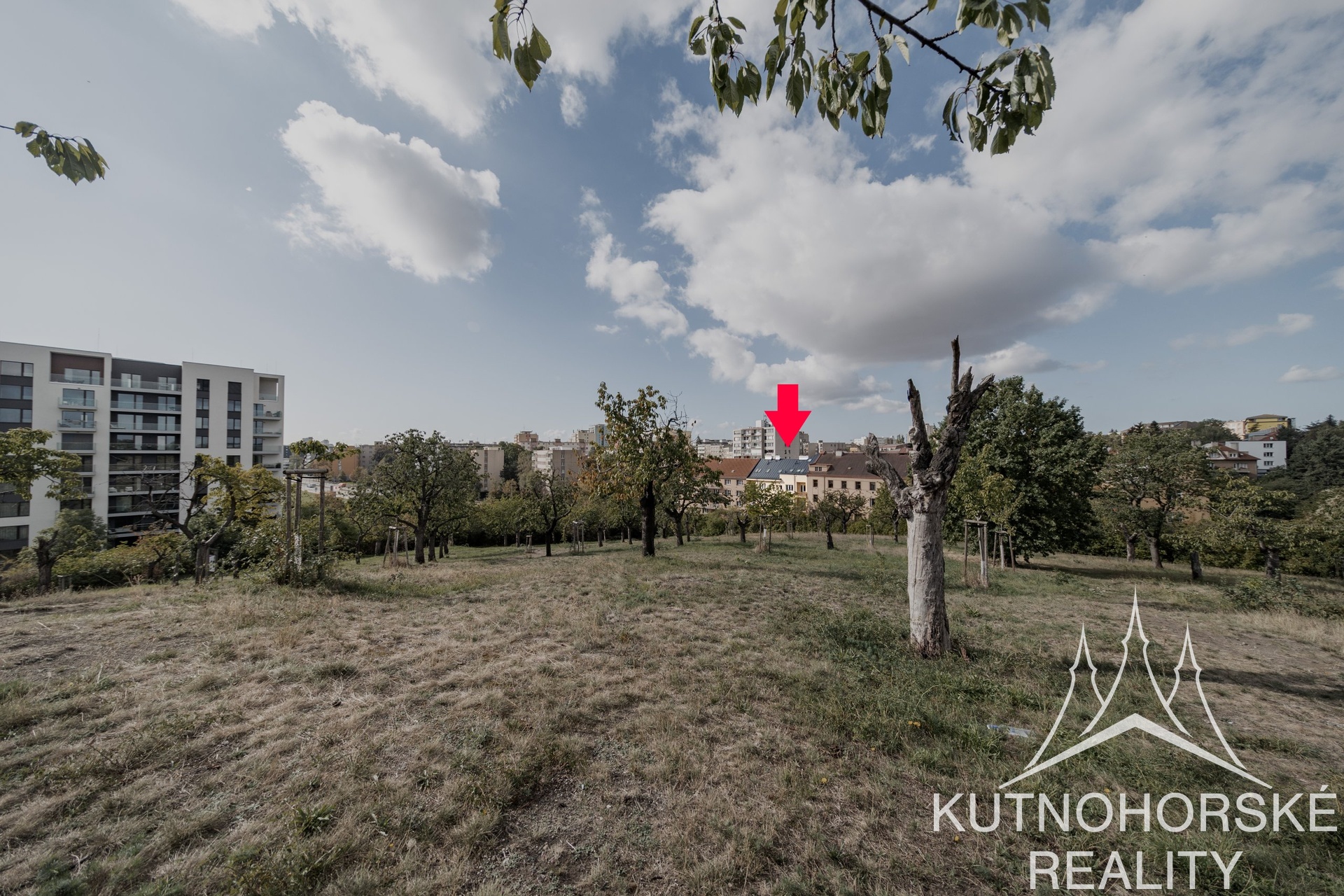 Prodej bytu 2+kk po kompletní rekonstrukci s velkým sklepem, 40 m², Praha – Žižkov